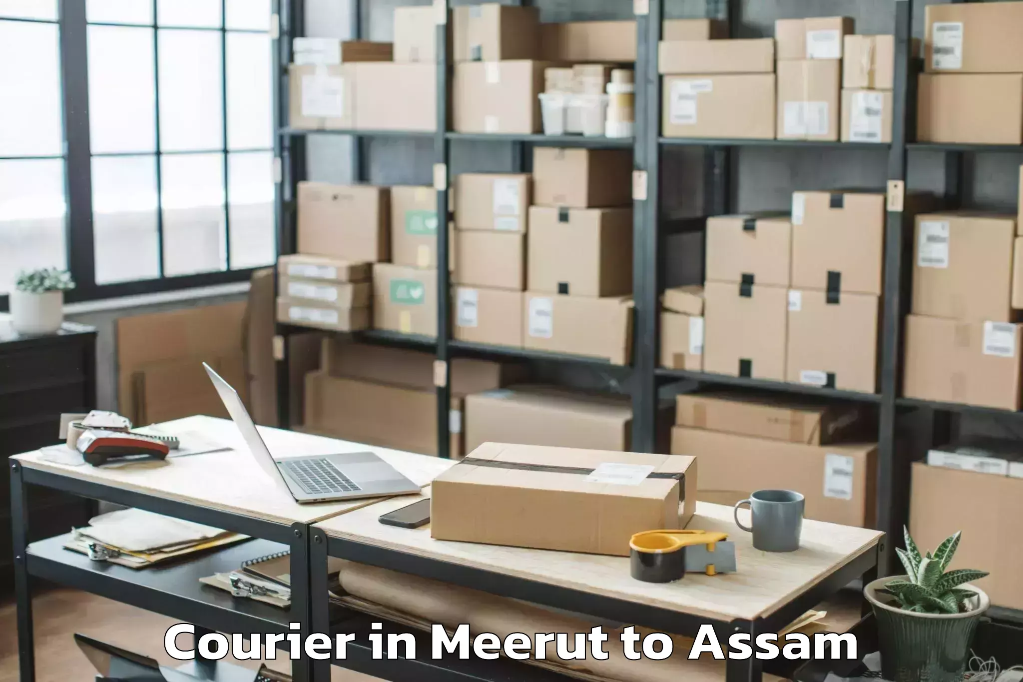 Top Meerut to Sorbhog Courier Available